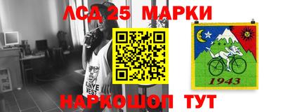 apvp Кунгур