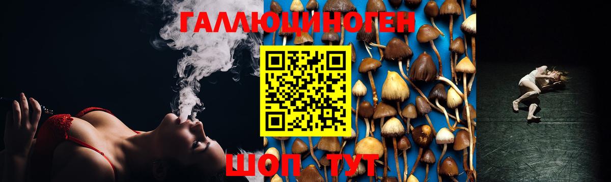 Псилоцибиновые грибы ЛСД Бузулук